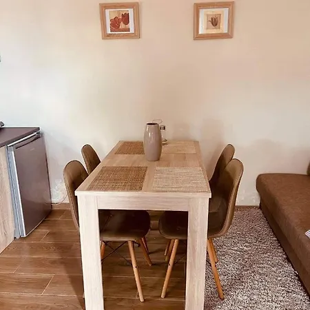 στούντιο στην πολη των τρελων νερων Apartment *